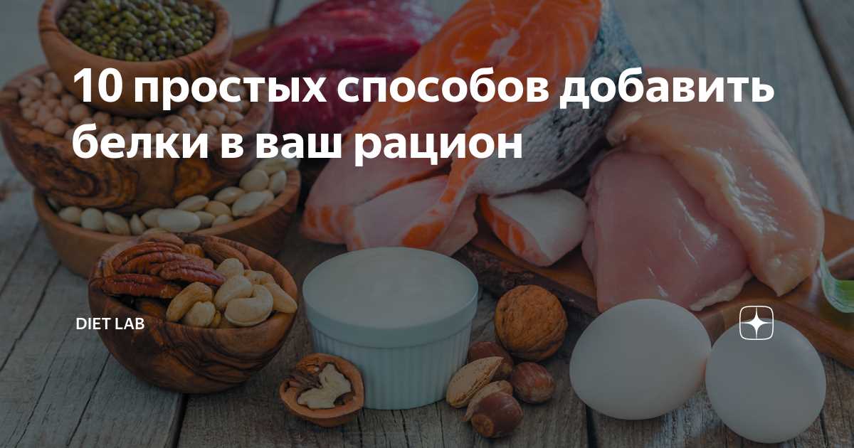 Параграф 2: Зачем нужен белок в супной кухне