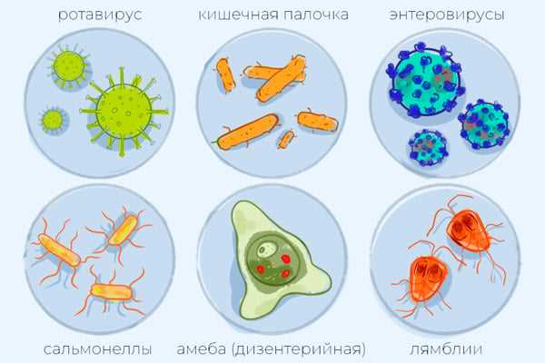 Что делать, если у вас понос: советы по переносу и остановке симптомов Что делать если у тебя понос