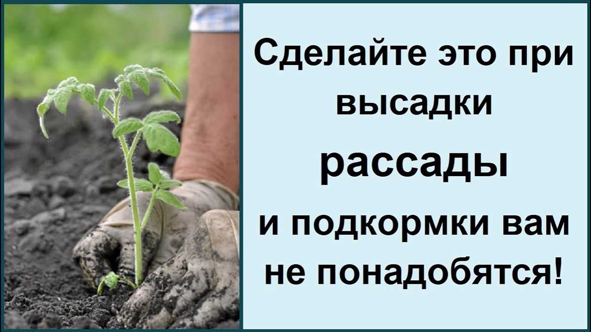 Когда правильно использовать