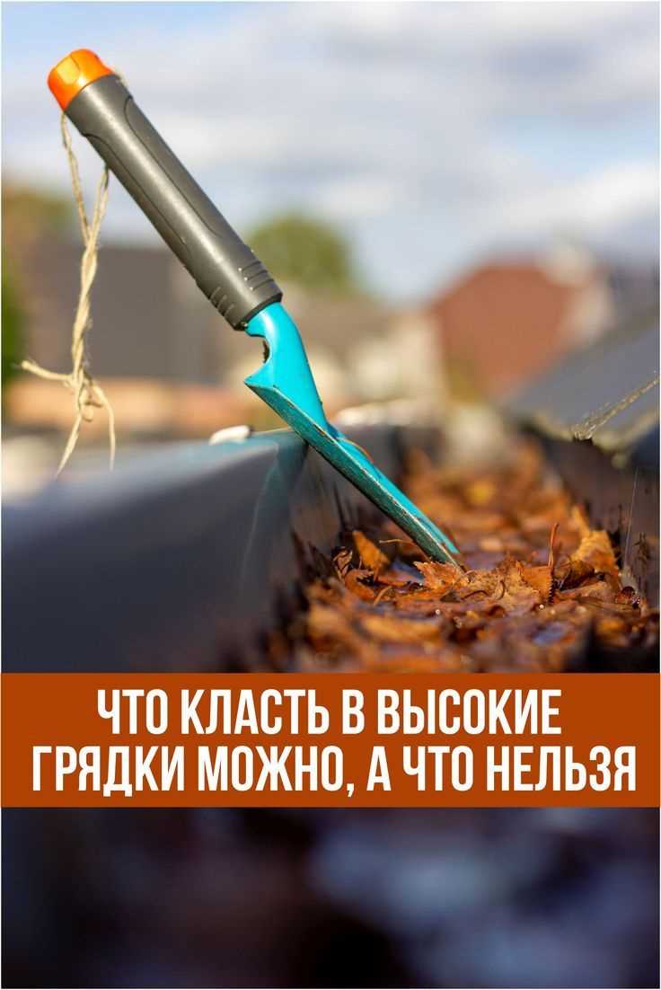 Что кладем: слово Что класть