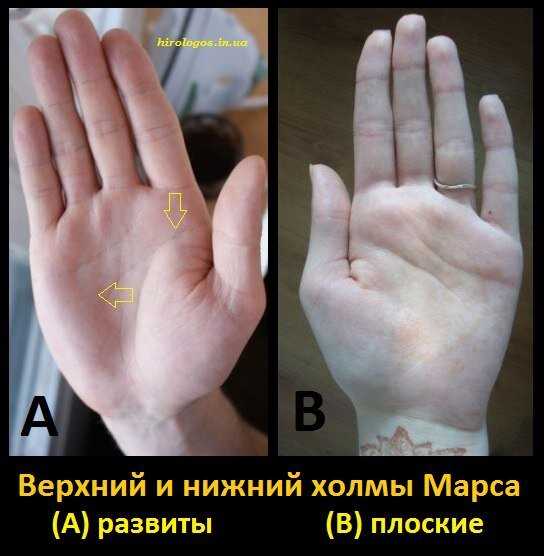 Научное обоснование влияния цвета кожи на хиромантию