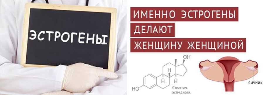 Что такое эстроген и за что отвечает гормон эстроген у женщин? Что такое эстроген
