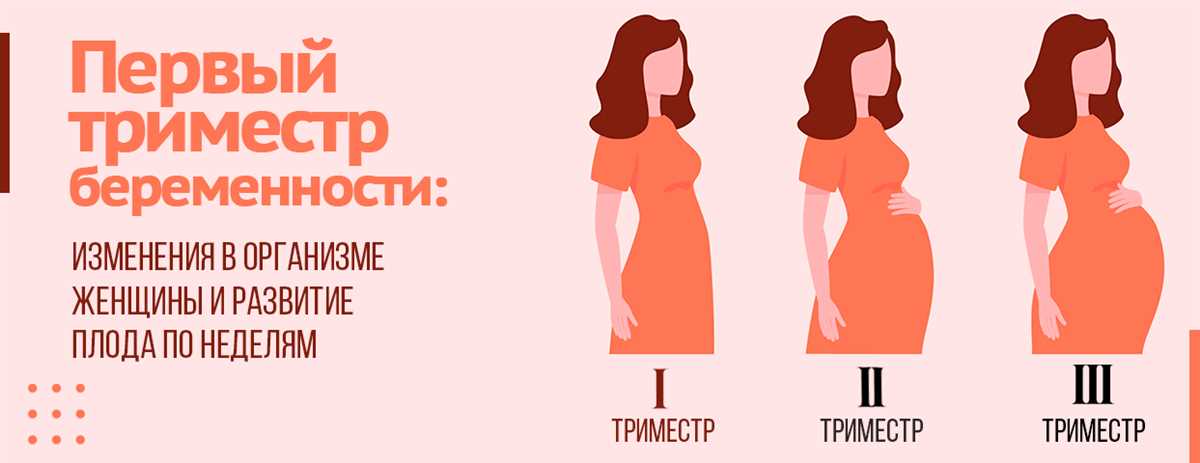 Последние недели беременности