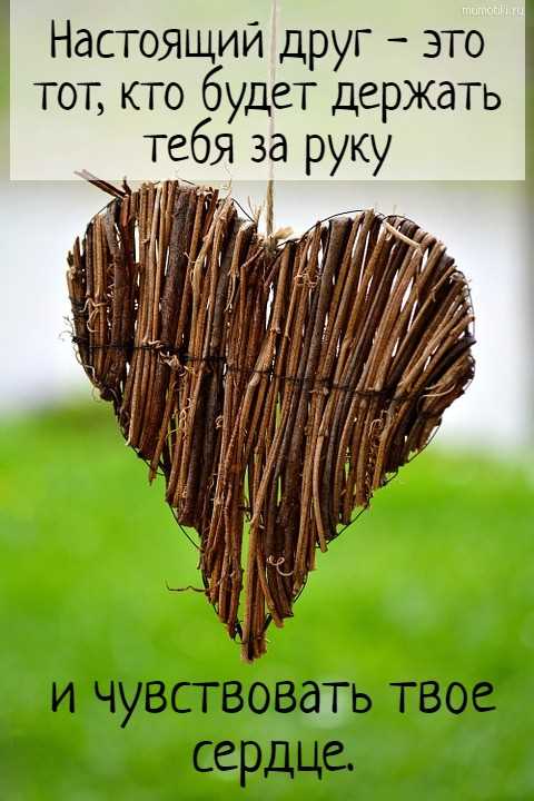 Раздел 2: Взаимное доверие; что делает людей друзьями
