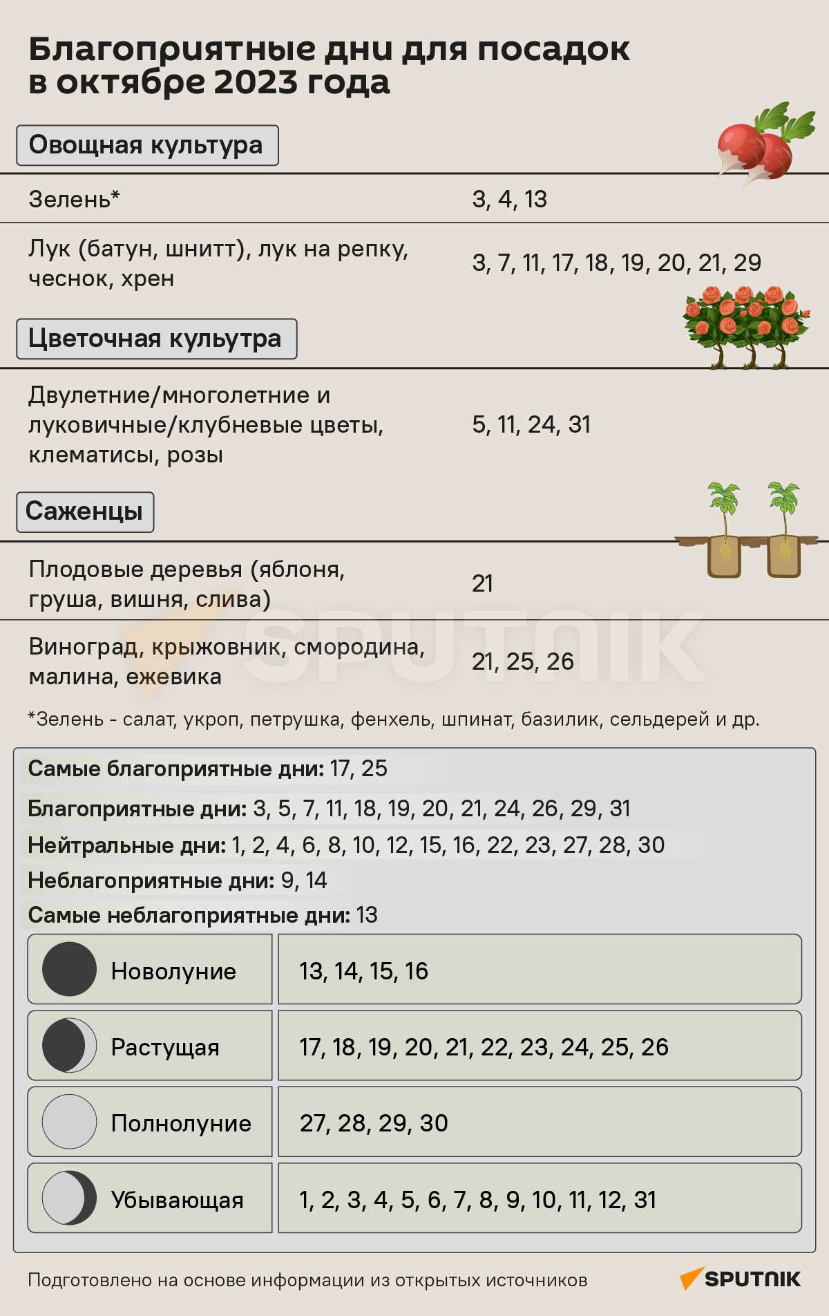 После новолуния последует период, называемый возрастанием Луны, когда наблюдается постепенное возрастание ее света. В этот период энергия и мотивация также возрастают, что делает его благоприятным временем для продвижения вперед со своими проектами и целями. Возрастание Луны также способствует улучшению коммуникации и принятия решений.