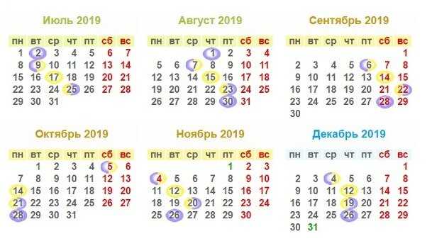 Кулинарные эксперименты и особенные блюда с использованием лунного календаря