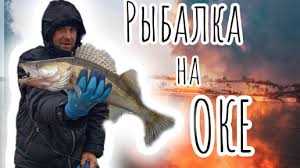 Солнечные затмения, в свою очередь, также могут оказывать влияние на активность рыбы в разные периоды дня. Например, во время полного солнечного затмения, когда Солнце полностью закрывается Луной, рыба может стать максимально пассивной и неактивной. С другой стороны, в периоды частичных солнечных затмений, когда видимая часть Солнца остается, но частично затеняется Луной, активность рыбы может изменяться и принимать разные формы. Например, некоторые виды рыбы могут стать агрессивными и атаковать приманки, в то время как другие предпочтут быть более осторожными и пассивными.
