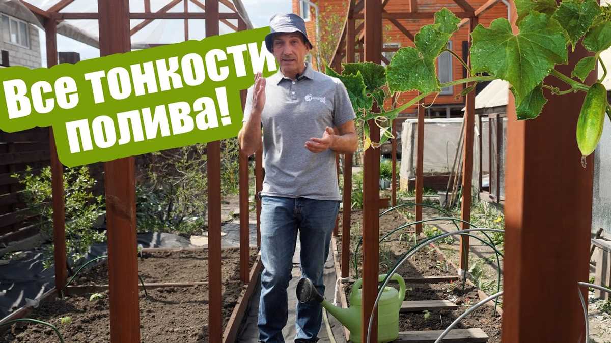 Садовые праздники полны веселья и радости, и выбор правильного времени для их проведения в соответствии с фазами луны может добавить им дополнительного очарования. Когда луна находится в определенной фазе, она влияет на растения и садовую территорию, и это может быть учтено при планировании мероприятий.