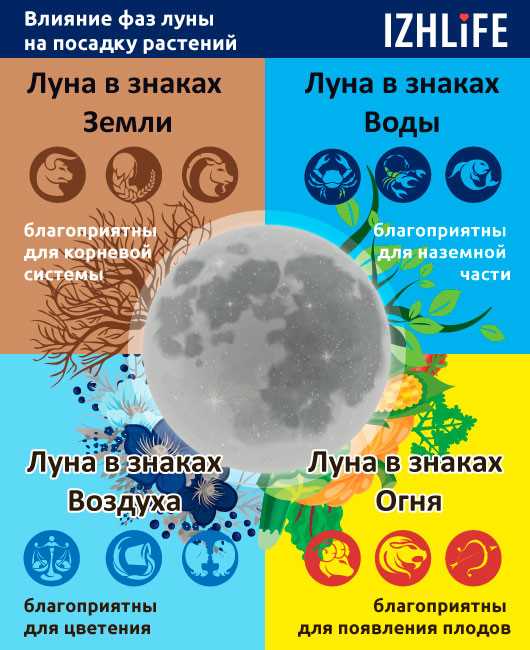 Также можно использовать лунный календарь для определения расположения и украшения комнат в доме. Например, по лунному календарю, восточная сторона считается благоприятной для обстановки, связанной с здоровьем и семьей. Таким образом, можно создать специальную комнату для занятий йогой или медитацией на восточной стороне дома.