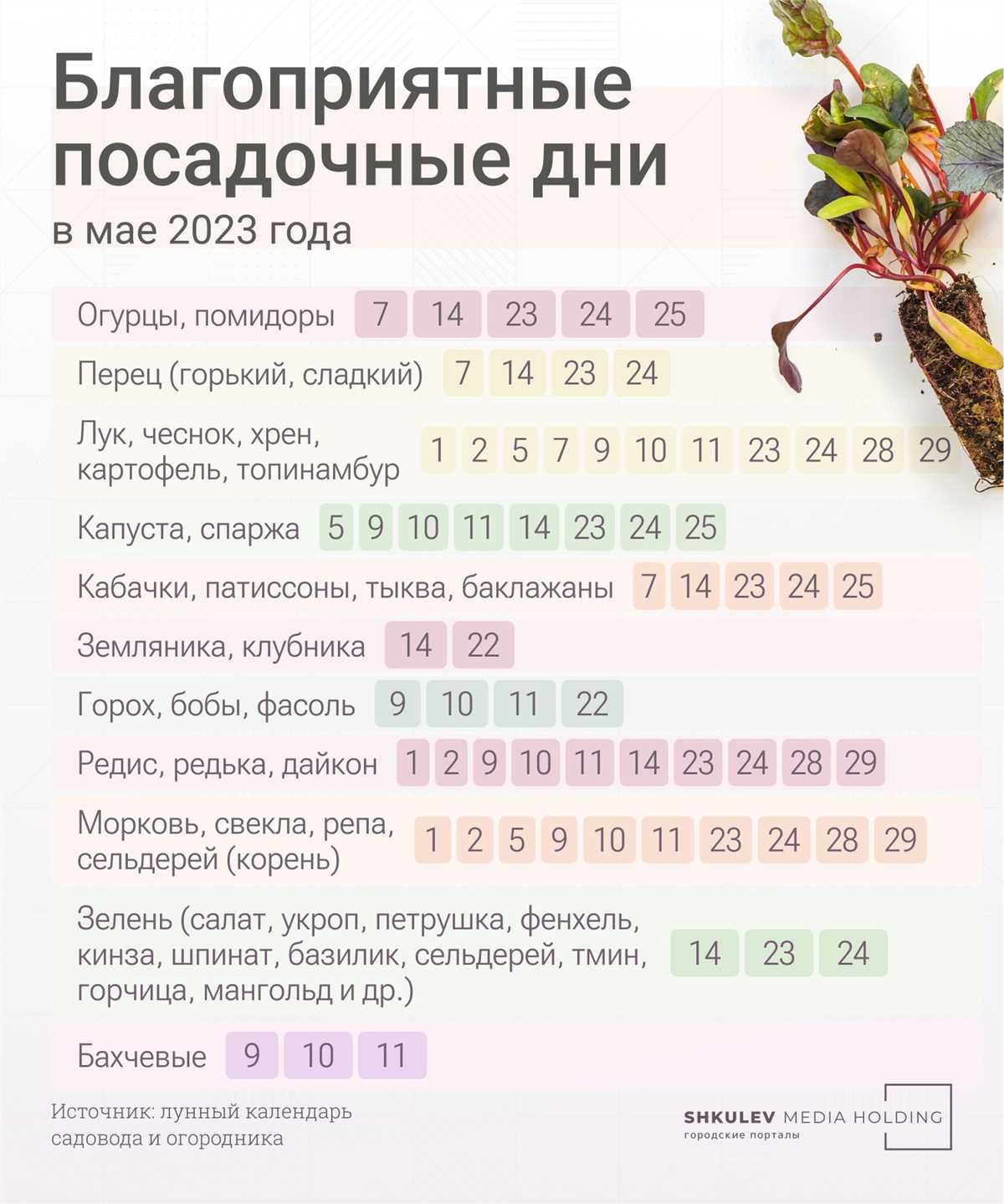 Например, новолуние – это фаза, когда Луна не видна с Земли. Это время нового начала и возможностей. Многие люди используют эту фазу, чтобы поставить новые цели и задуматься над планами на будущее.
