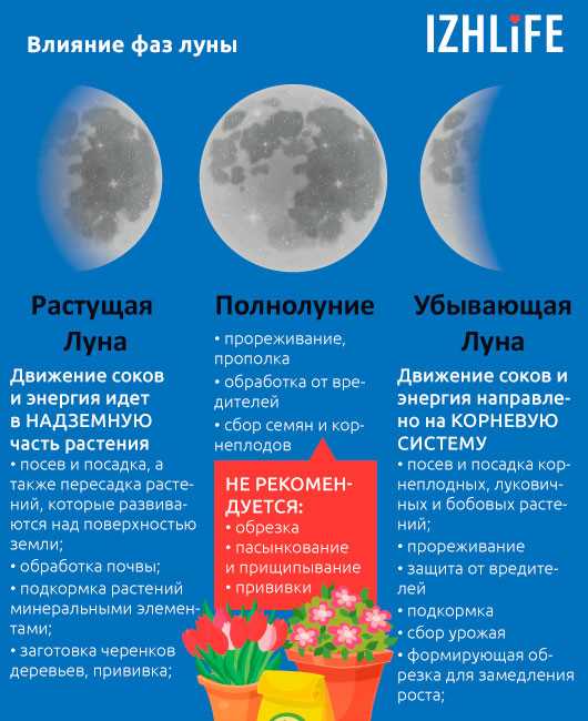 Четвертный период, в свою очередь, считается временем силы и мощи. В этот период наш организм может быть наиболее выносливым и энергичным, поэтому мы можем использовать его для амбициозных задач, требующих физической или умственной активности. Кроме того, четвертный период может быть связан с чувством уверенности и решительности, поэтому полезно воспользоваться этой энергией для достижения наших целей и планов. В то же время, важно помнить, что всему должно быть мерой, поэтому даже в этот период нужно уделить некоторое время для отдыха и восстановления.