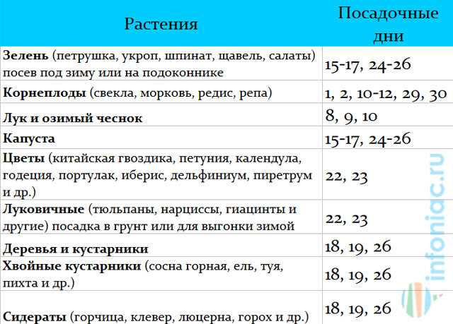 Лунный календарь - это инструмент, который используется уже множество веков для предсказания погоды и планирования отдыха на природе. Он основан на наблюдениях за фазами луны и ее влиянии на земные процессы. В нашей современной жизни мы все чаще стремимся быть ближе к природе и использовать ее ресурсы максимально эффективно. И лунный календарь является одним из инструментов, который помогает нам в этом.
