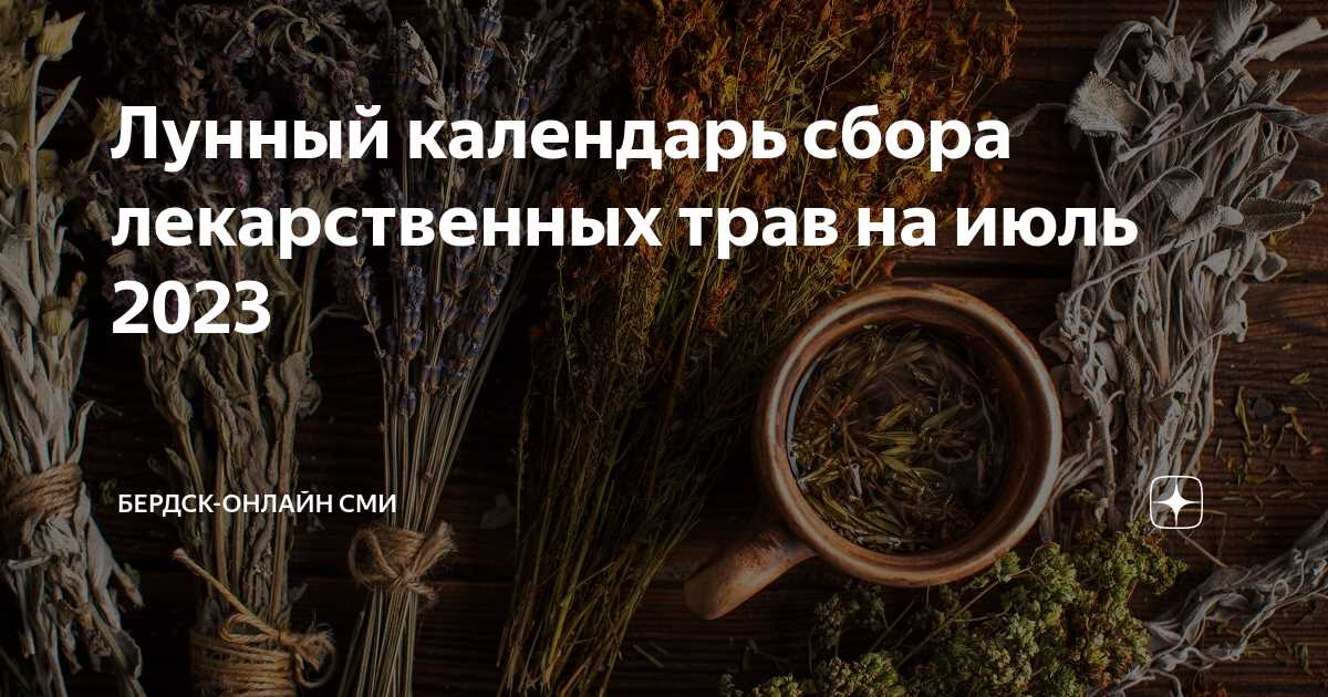 Кроме того, первая и последняя четверть луны также оказывают свое влияние на организм. В этот период наблюдается изменение освещенности луны, которое может вызывать изменения в настроении и эмоциональном состоянии человека. Некоторые люди утверждают, что в это время они чувствуют увеличение мотивации и продуктивности, в то время как другие могут испытывать стресс и раздражение.