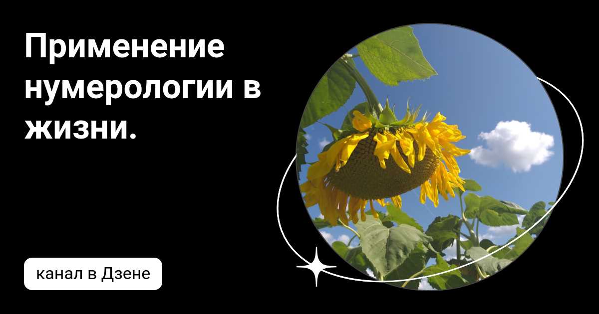 Нумерология: сила чисел в повседневной жизни
