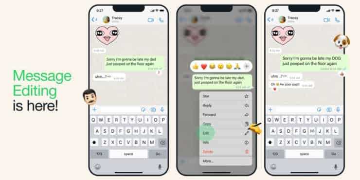 Как изменить сообщение в whatsapp после отправки