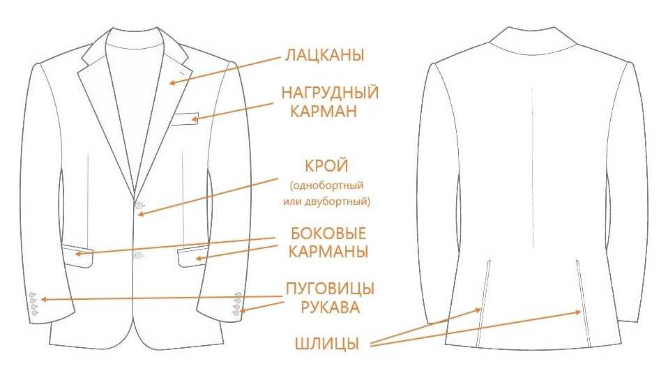 Что такое гинекология и какие специалисты ее представляют?