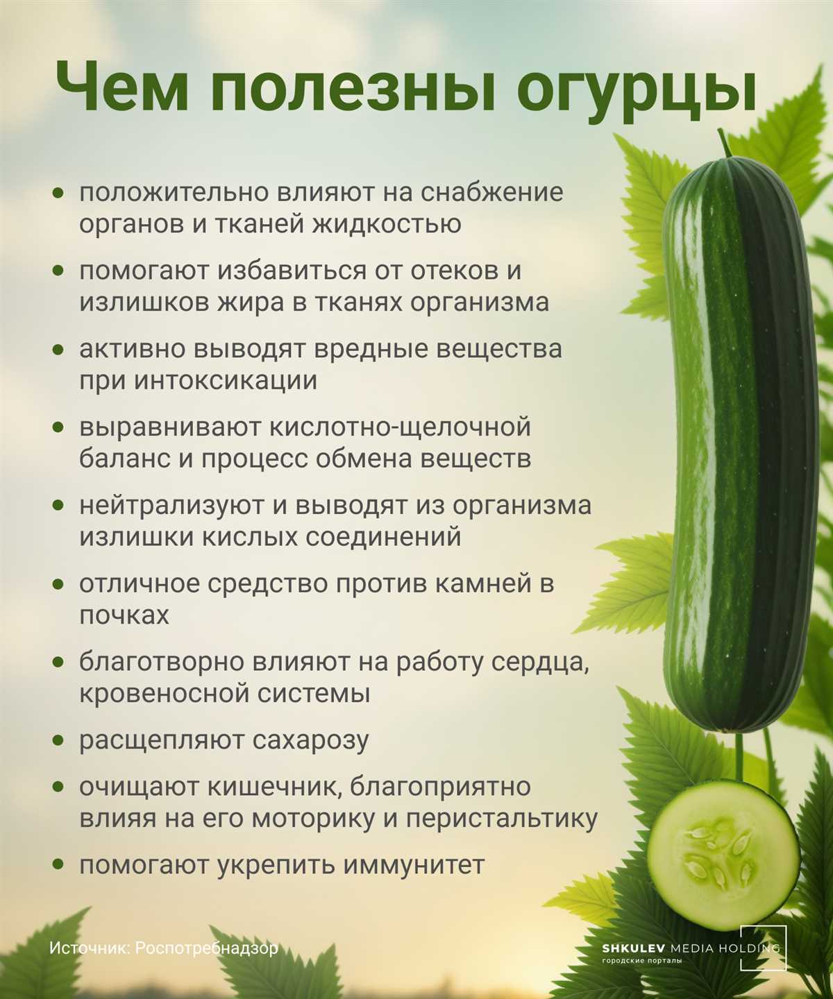 Процессы роста и развития огурцов: сколько времени требуется для всхода, чувствования, работы, игры, сна, просмотра, ухода, прихода, владения, поиска, использования, опасения, окончания, обладания и оставления Как огурцы