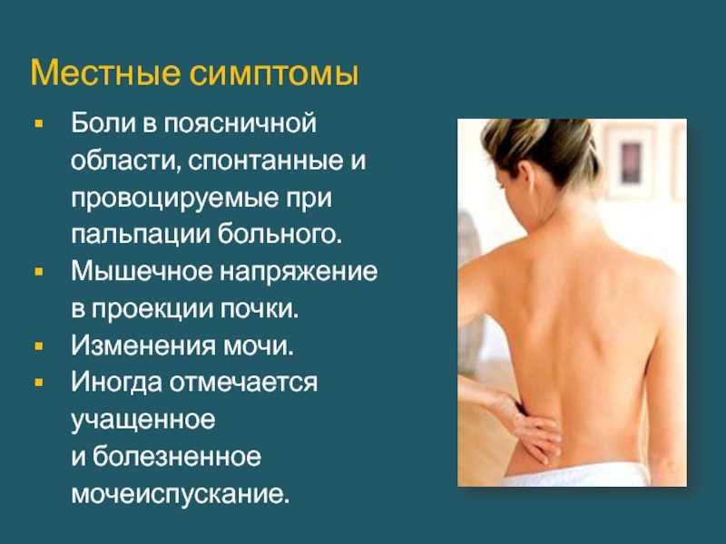 Как распознать болезни почек: основные симптомы и признаки Как понять когда болят почки