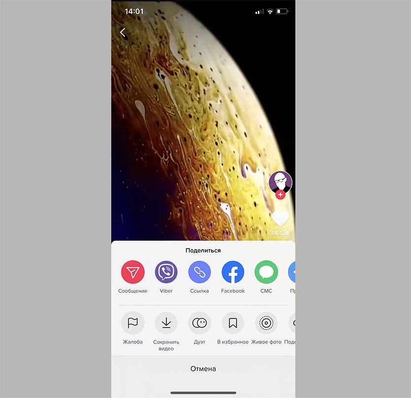 Как поставить видео обои на iPhone 10 Как поставить на обои видео