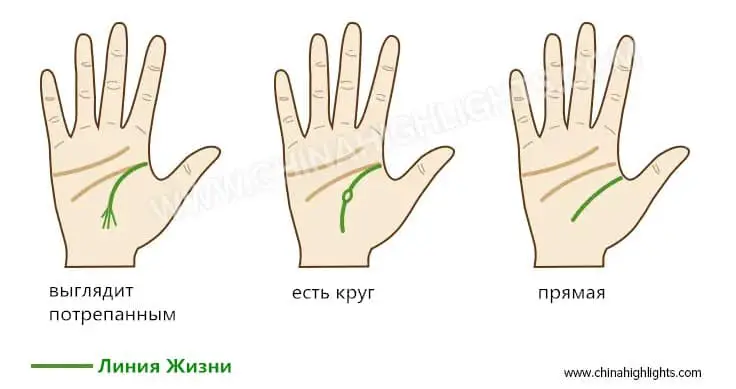Форма руки