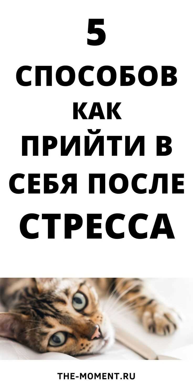 Признайте свои эмоции; как пережить проблемы в жизни