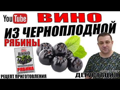 Как приготовить вино из черноплодной рябины в домашних условиях Как сделать вино из черноплодной рябины