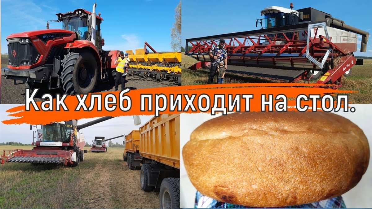 Почему нельзя пекарнюют хлеб при слишком высокой температуре; при какой температуре выпекается хлеб