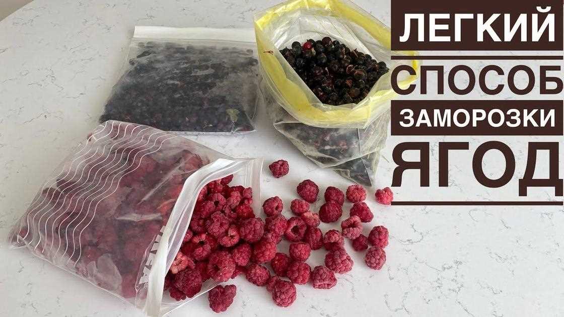 Как заморозить свежую малину на зиму в морозильной камере
