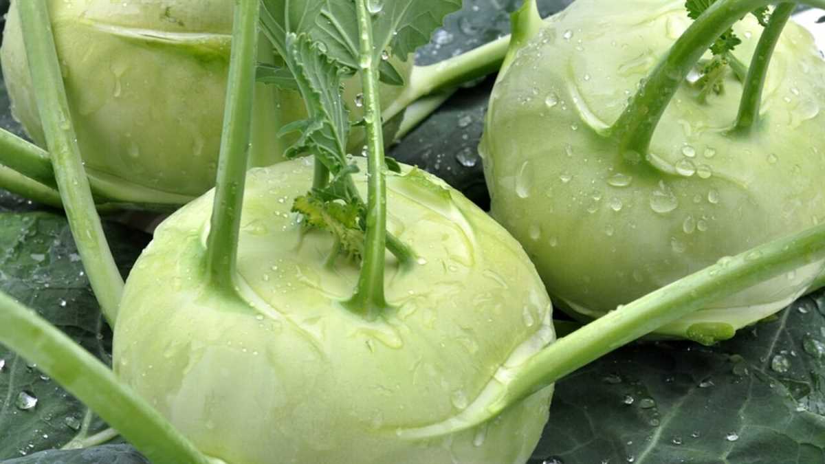 Как вкусно приготовить капусту на пару
