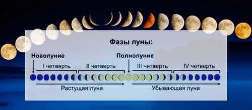 Также лунный календарь указывает на наиболее благоприятные дни для употребления определенных видов пищи. Например, в период растущей Луны рекомендуется употреблять богатые белками продукты, такие как мясо, рыба, яйца и молочные продукты. В это время организм активно расходует энергию и нуждается в дополнительном питании для поддержания здоровья и активности.