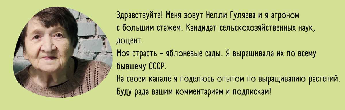 Лунный календарь и архитектура: гармония воздействия на здания и пространства