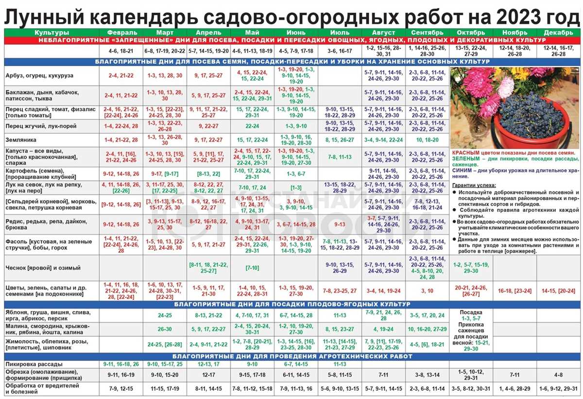 Декорирование дома - это важный аспект, который определяет атмосферу и уютность нашего жилища. От выбора цветовых сочетаний до расстановки мебели - все это играет важную роль в создании гармоничного пространства. Все больше людей обращаются к лунному календарю для определения наиболее благоприятных дней для домашнего декора и перестановки мебели.