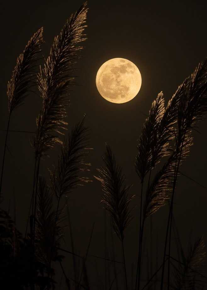 Однако, с приближением новолуния, когда Луна полностью скрыта от нас, некоторые люди могут начать чувствовать себя усталыми и вялыми. Это происходит из-за недостатка света, который играет важную роль в регуляции нашего биоритма. Отсутствие света может привести к ухудшению настроения, сонливости и даже депрессии. Поэтому, во время новолуния, может быть полезно увеличить время, проведенное на свежем воздухе и получить достаточное количество естественного света.