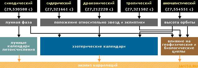 Биологические ритмы являются неотъемлемой частью жизни всех организмов на Земле. Они представляют собой периодические изменения в поведении, физиологии и функционировании живых существ в соответствии с определенным временным интервалом. Одним из наиболее известных и изученных биологических ритмов является лунный цикл.