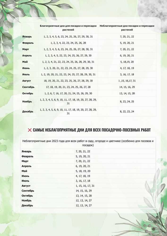 Лунный календарь и оптимальное время для посадки и ухода за растениями