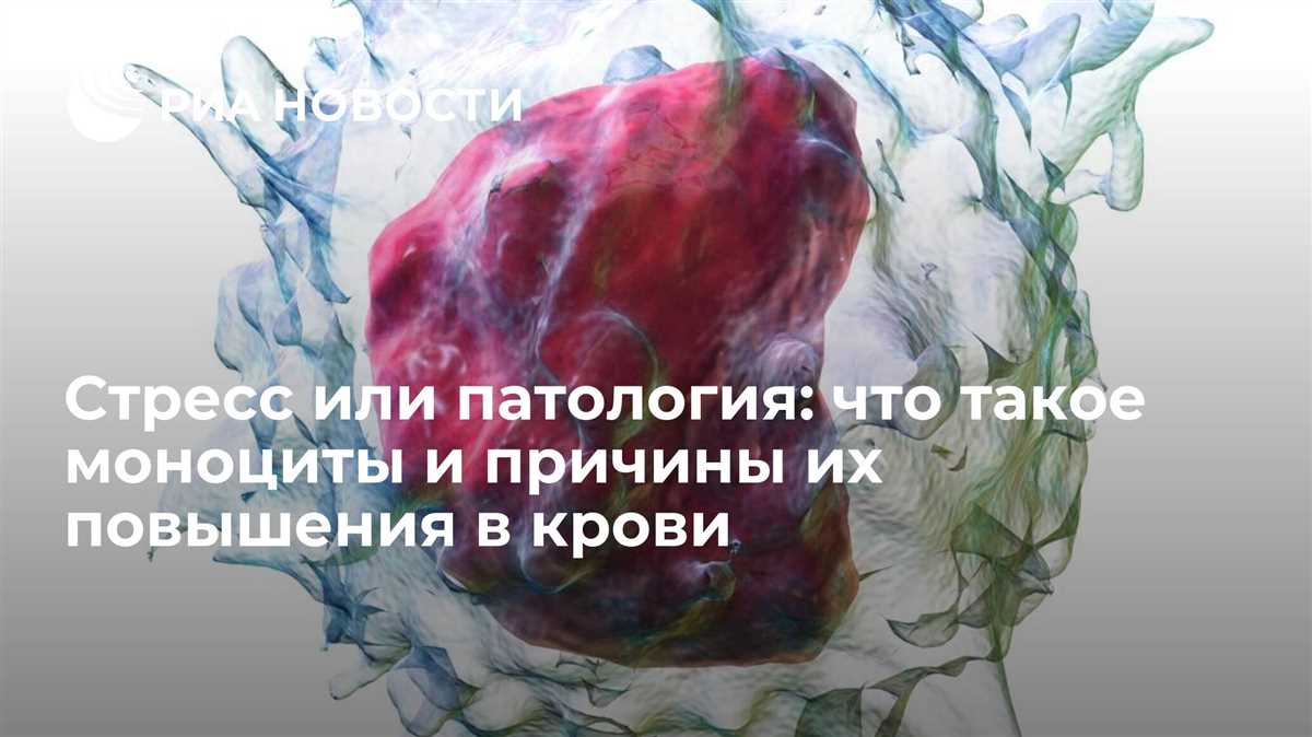 Что означает повышенные моноциты