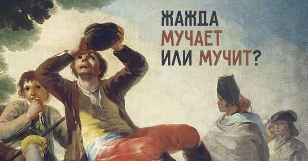 Особенности использования формы глагола 