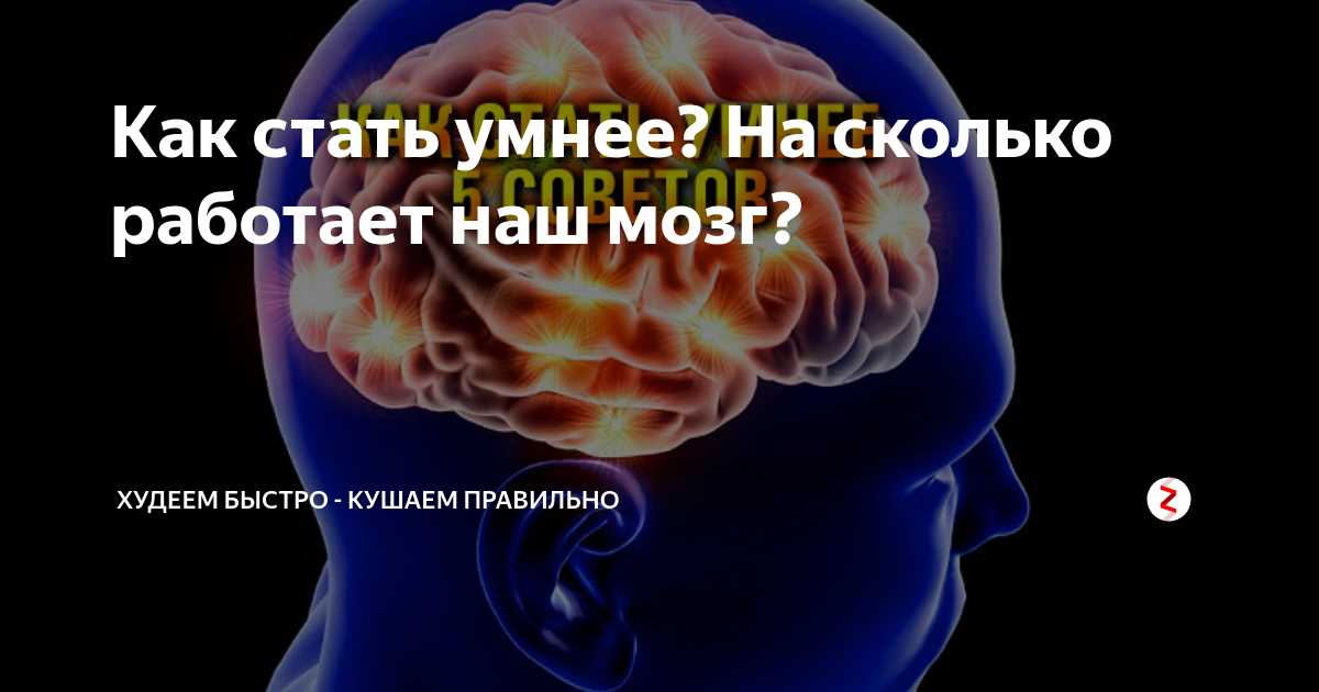 На сколько работает человеческий мозг?