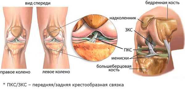 Отчего болит колено и почему болят коленные чашечки