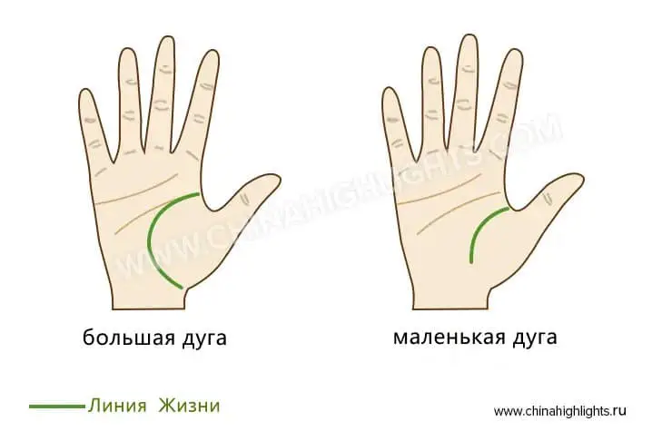 1. Форма и длина линий