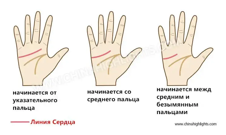 Что означает длина пальцев и их соотношение?