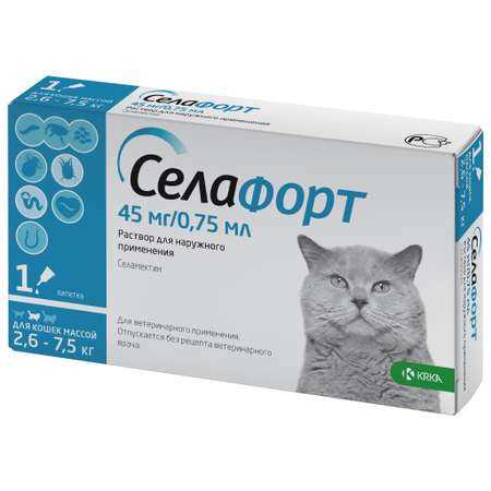 Как предотвратить появление блох у кошек