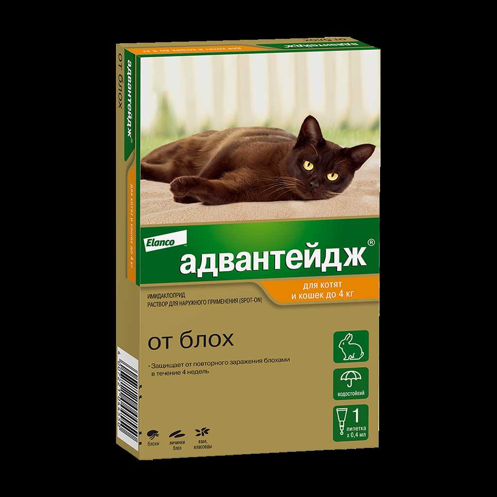 Как выбрать наилучшее средство от блох для кошек и эффективно побороться с нашествием этих паразитов в квартире? От блох для кошек что лучше