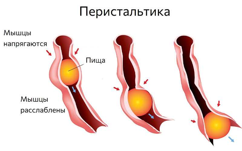 Урчание в животе у детей: возможные причины