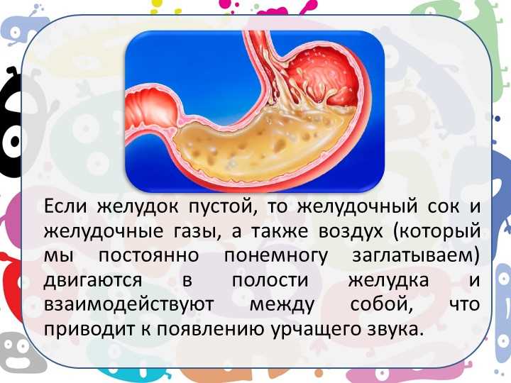 Повышенная кислотность желудка и урчание в животе; почему всегда громко урчит в животе
