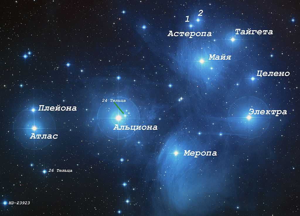 Знакомство с основными полярными звездами