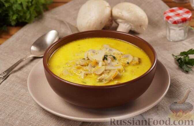 Полезные свойства мясных супов для настроения