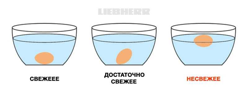 Сроки хранения яиц и их влияние на свежесть; как узнать свежесть яиц в воде