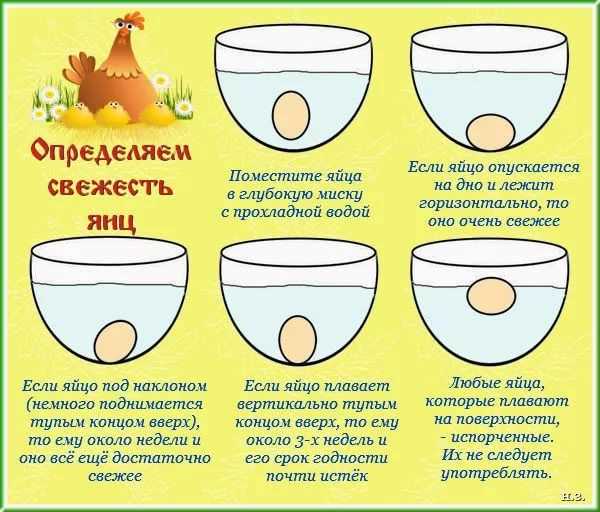 Как проверить свежесть яиц: простой метод с водой