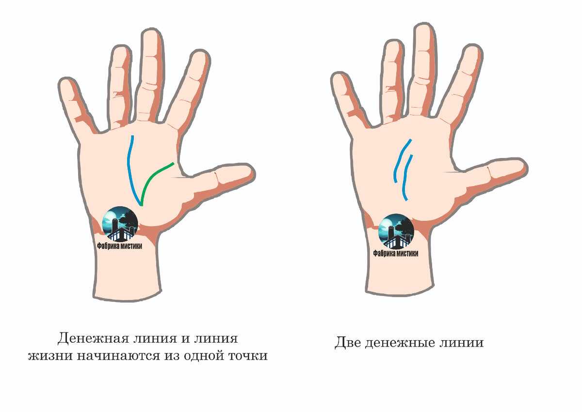 Перекрещивающиеся линии: противоречивые истории